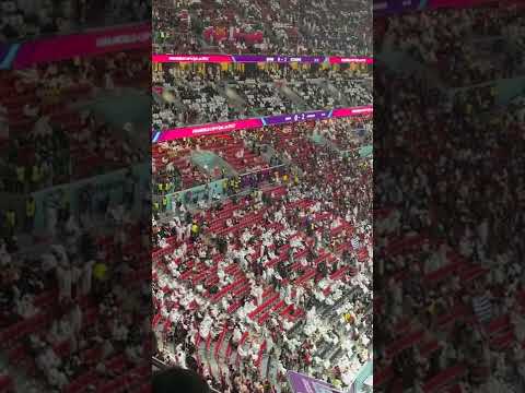 夏普爆砍,开拓者轻松,战胜篮网,香港赛马会,香港赛马,马会活动,赛马资讯